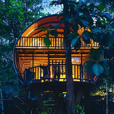 فندق Woodland Sanctuary هاباران المظهر الخارجي الصورة