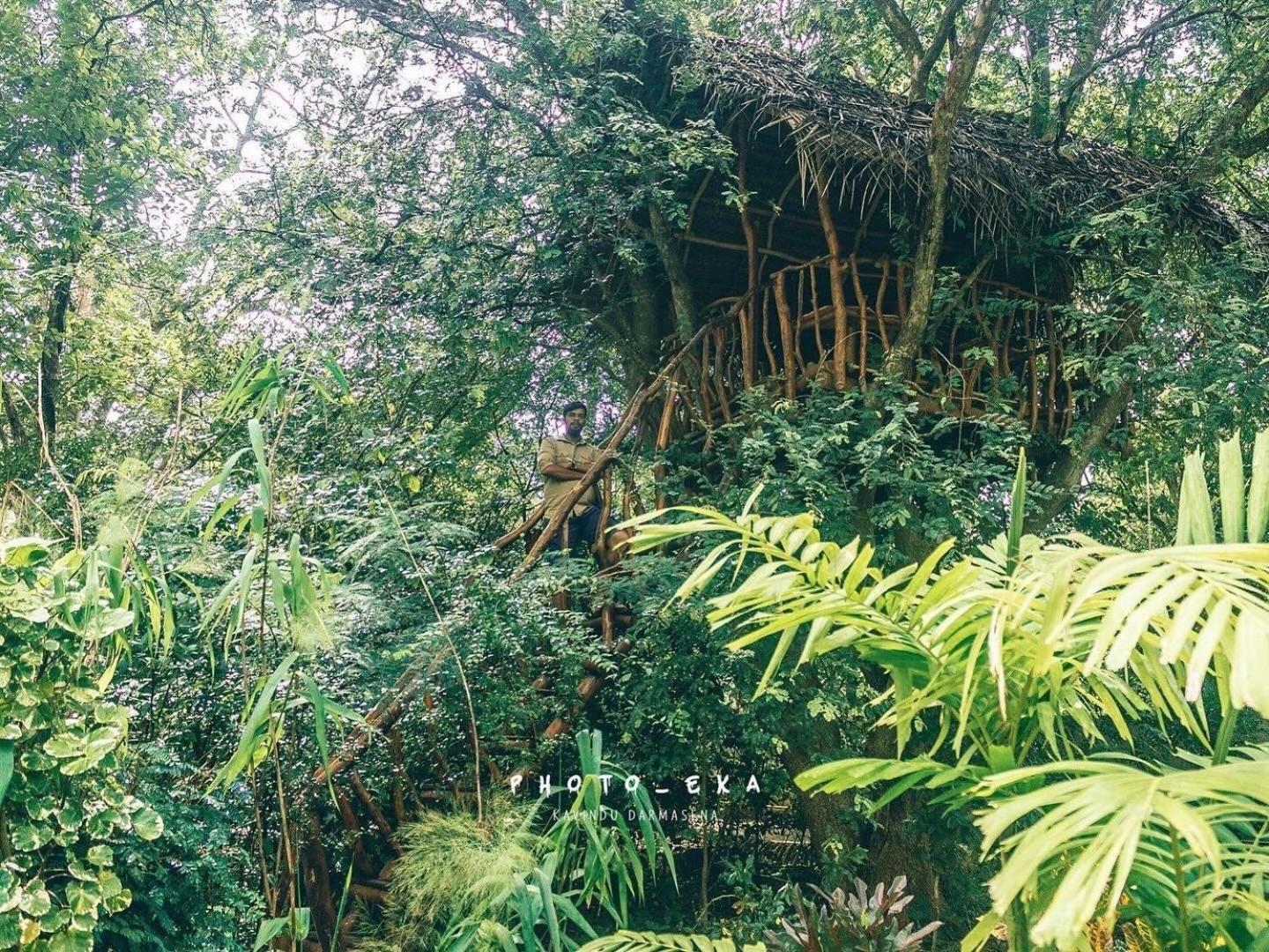 فندق Woodland Sanctuary هاباران المظهر الخارجي الصورة